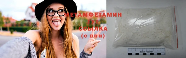 прущие грибы Абаза