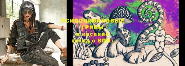 ALPHA-PVP Елизово