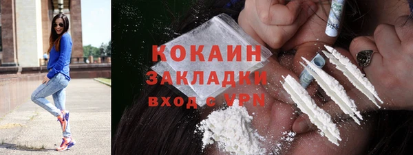 прущие грибы Абаза