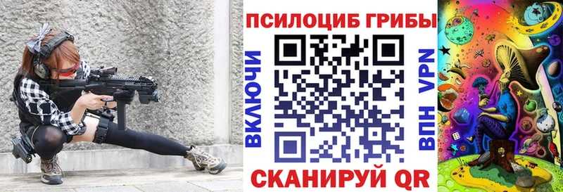 Галлюциногенные грибы Psilocybe  ссылка на мегу   Инза 